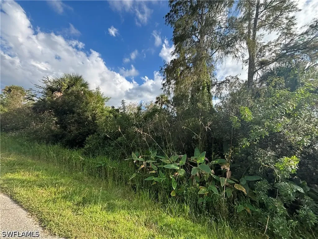 XXX37TH Ave NE Naples FL 34120