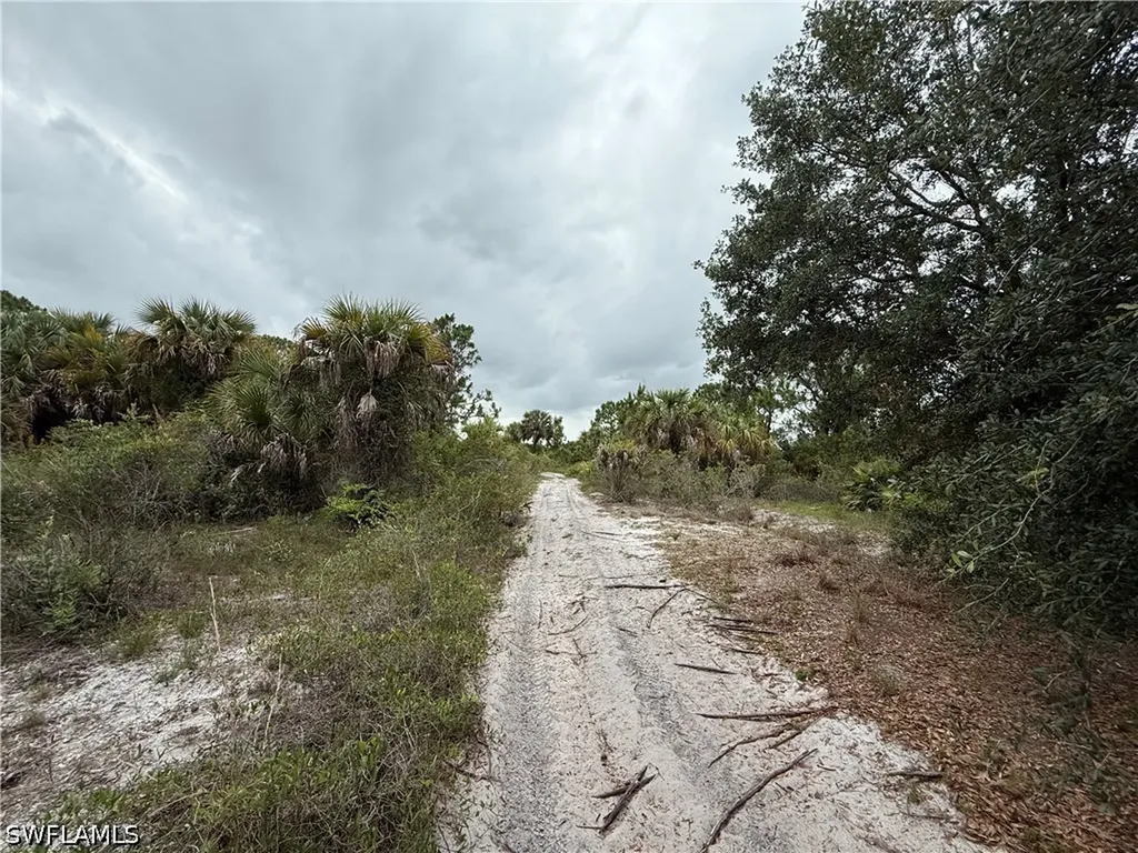 Eisenhower Boulevard Lehigh Acres FL 33974