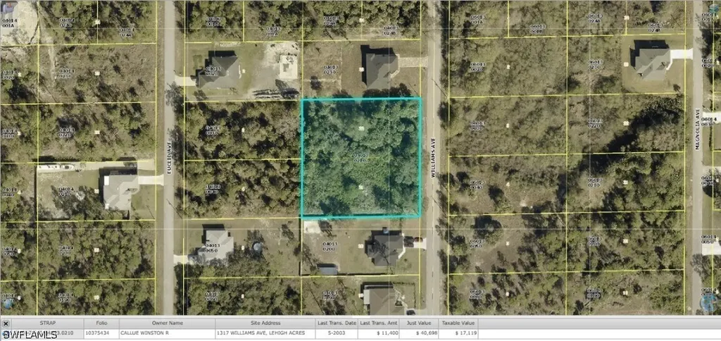 1317 Williams Avenue Lehigh Acres FL 33972