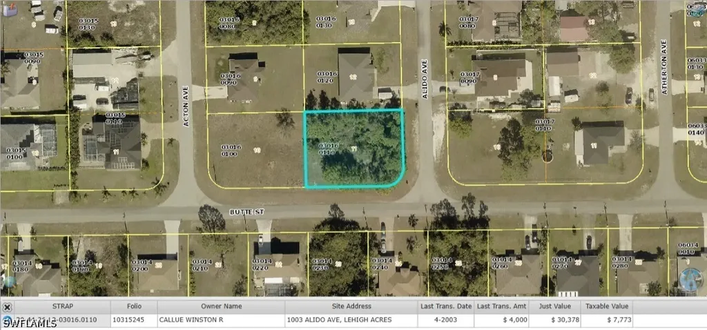 1003 Alido Avenue Lehigh Acres FL 33971