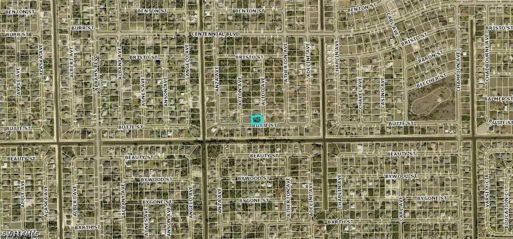 1003 Alido Avenue Lehigh Acres FL 33971