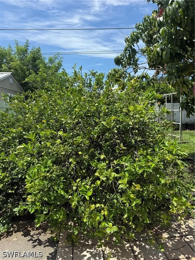704 106th Avenue N Naples FL 34108