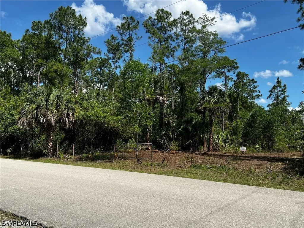 16TH Street 16th Street NE Naples FL 34120