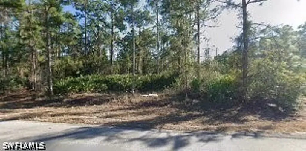 707 W 17th Street Lehigh Acres FL 33972