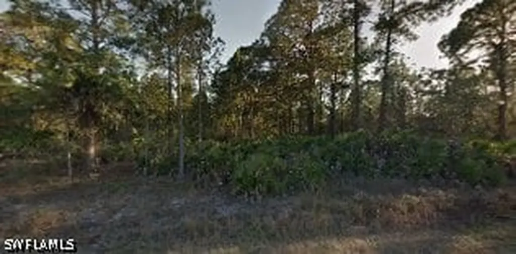 1205 W 17th Street Lehigh Acres FL 33972
