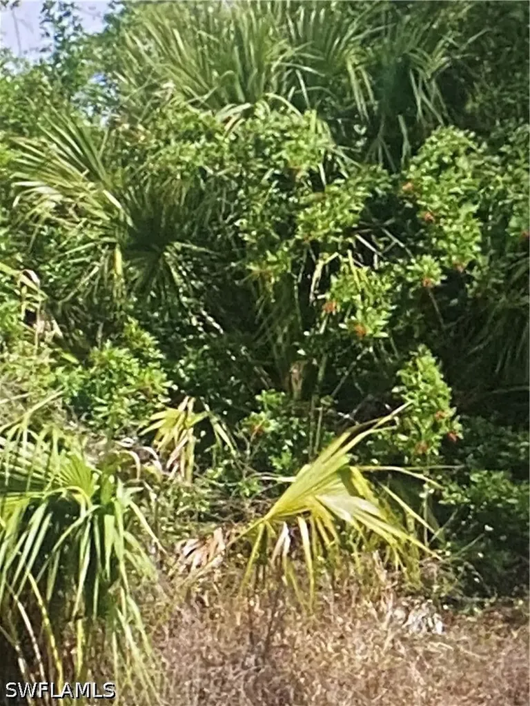 3774 2nd Avenue NE Naples FL 34120