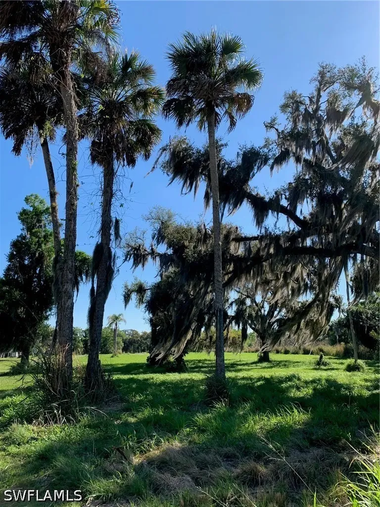 1050 Shady Oaks Avenue Labelle FL 33935