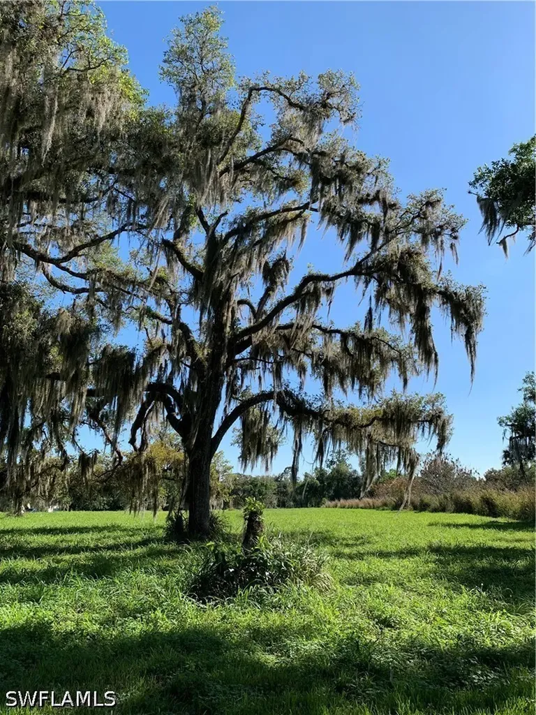 1050 Shady Oaks Avenue Labelle FL 33935