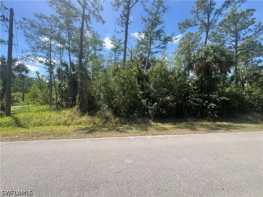 41ST Avenue NE Naples FL 34120