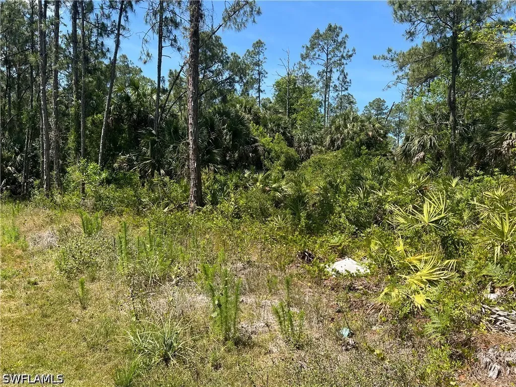 41ST Avenue NE Naples FL 34120