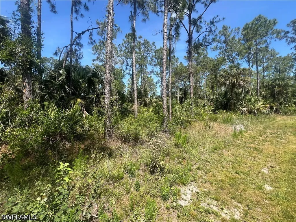 41ST Avenue NE Naples FL 34120