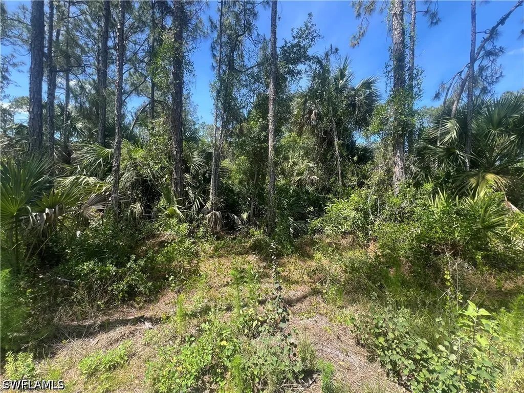 41ST Avenue NE Naples FL 34120