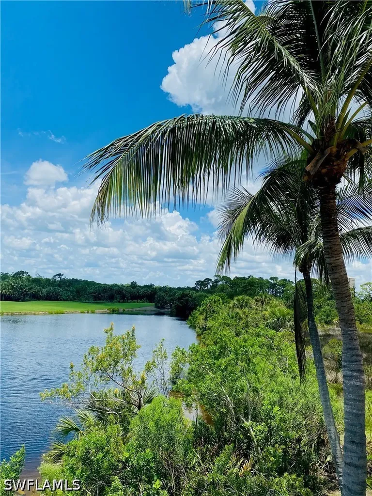 23850 Via Italia Circle Estero FL 34134