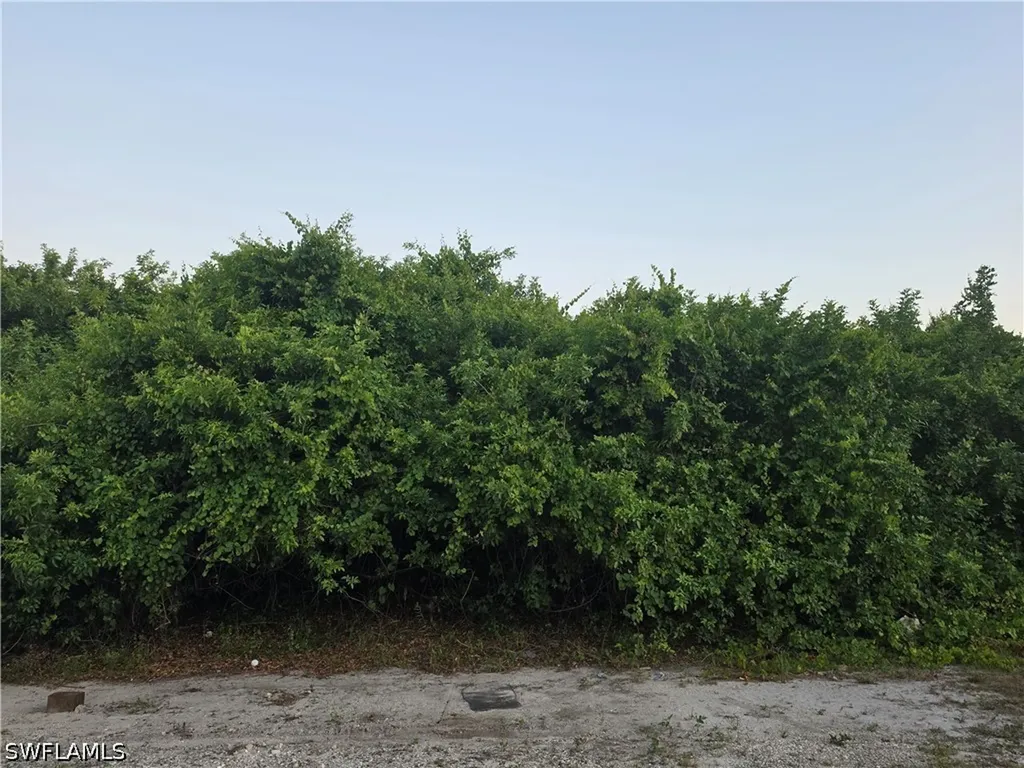 2615 5th Street SW Lehigh Acres FL 33976