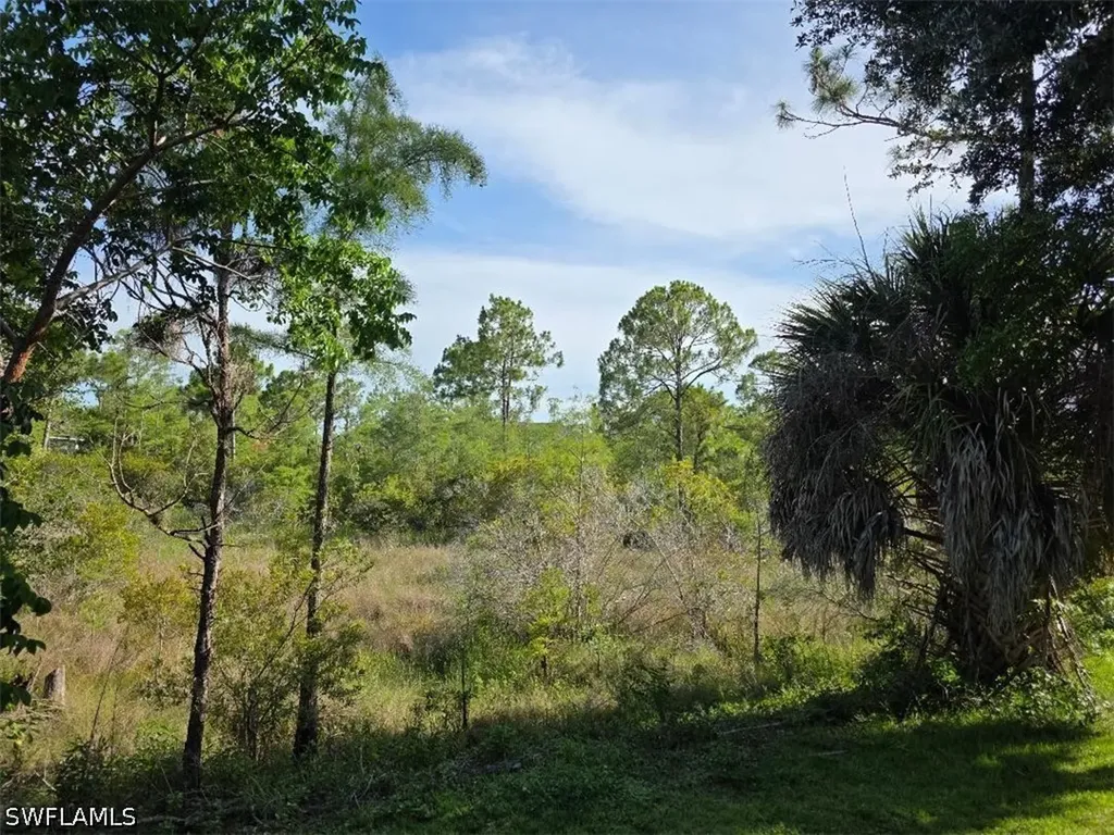 1784 Sanctuary Pointe Court Naples FL 34110