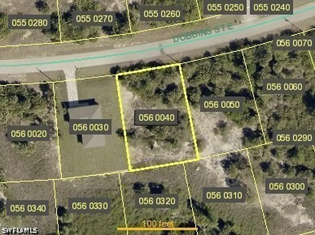 924 Dobbins Street E Lehigh Acres FL 33974