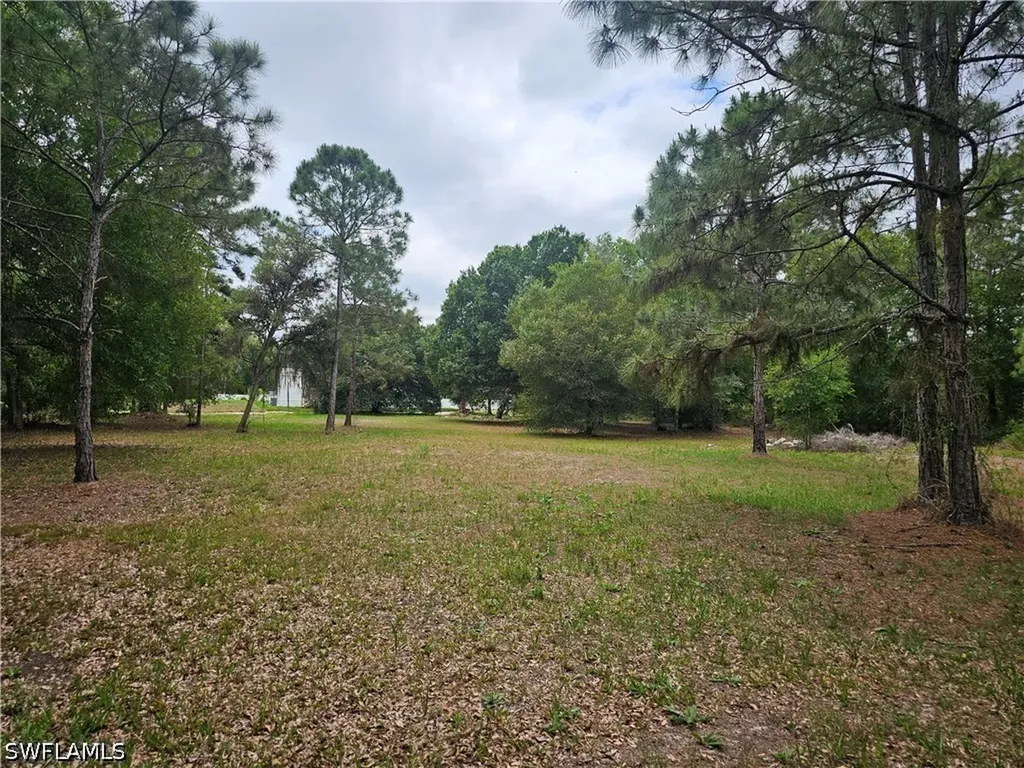 509 Bald Cypress Avenue Clewiston FL 33440