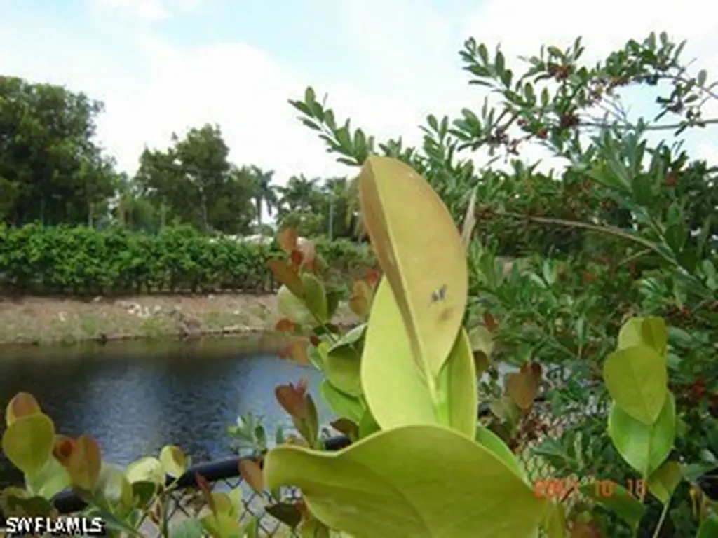 10033 Heather Lane Naples FL 34119