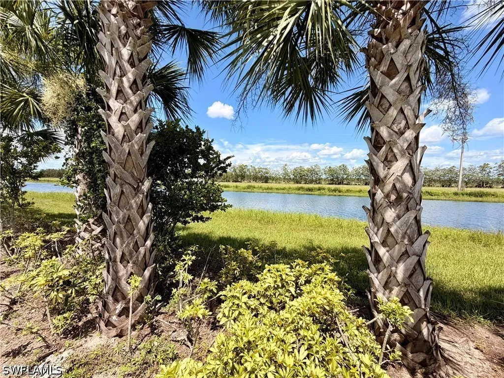 4941 Gambero Way Immokalee FL 34142