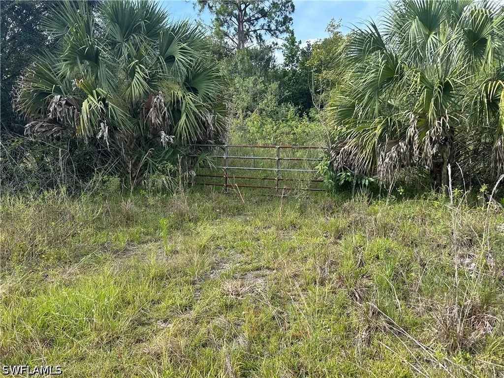 1020 Limpkin Road Naples FL 34120