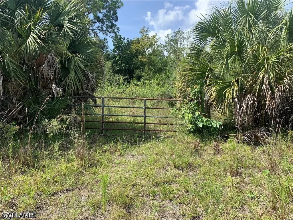 1020 Limpkin Road Naples FL 34120