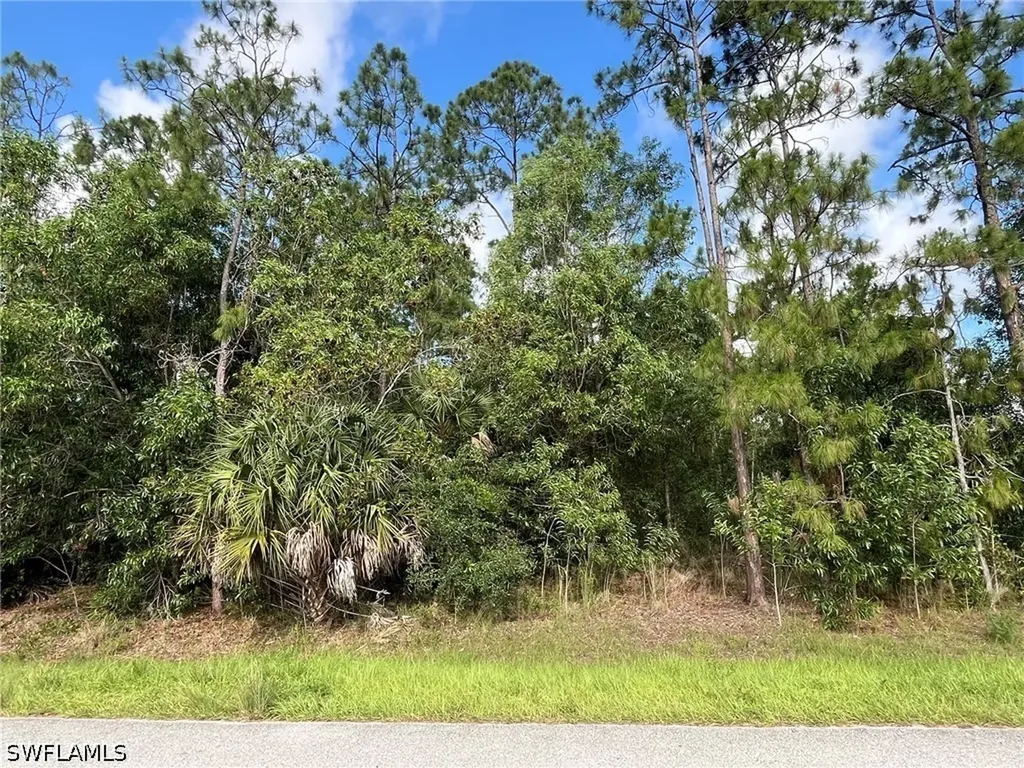 16TH Street NE Naples FL 34120