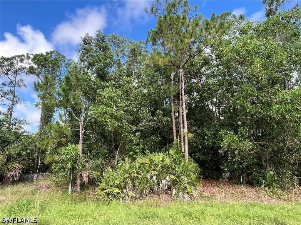 16TH Street NE Naples FL 34120