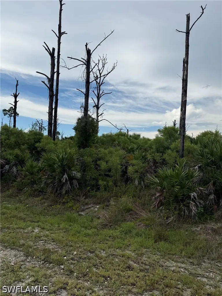 0 22nd Avenue NW Naples FL 34120