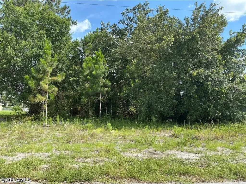 3013 45th Street SW Lehigh Acres FL 33976