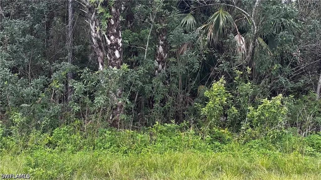 0000 20th Avenue SE Naples FL 34117
