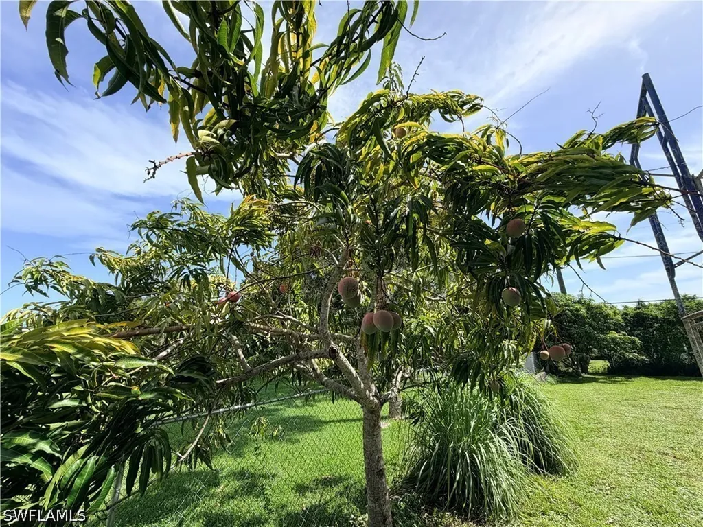 125 4th Street Naples FL 34113