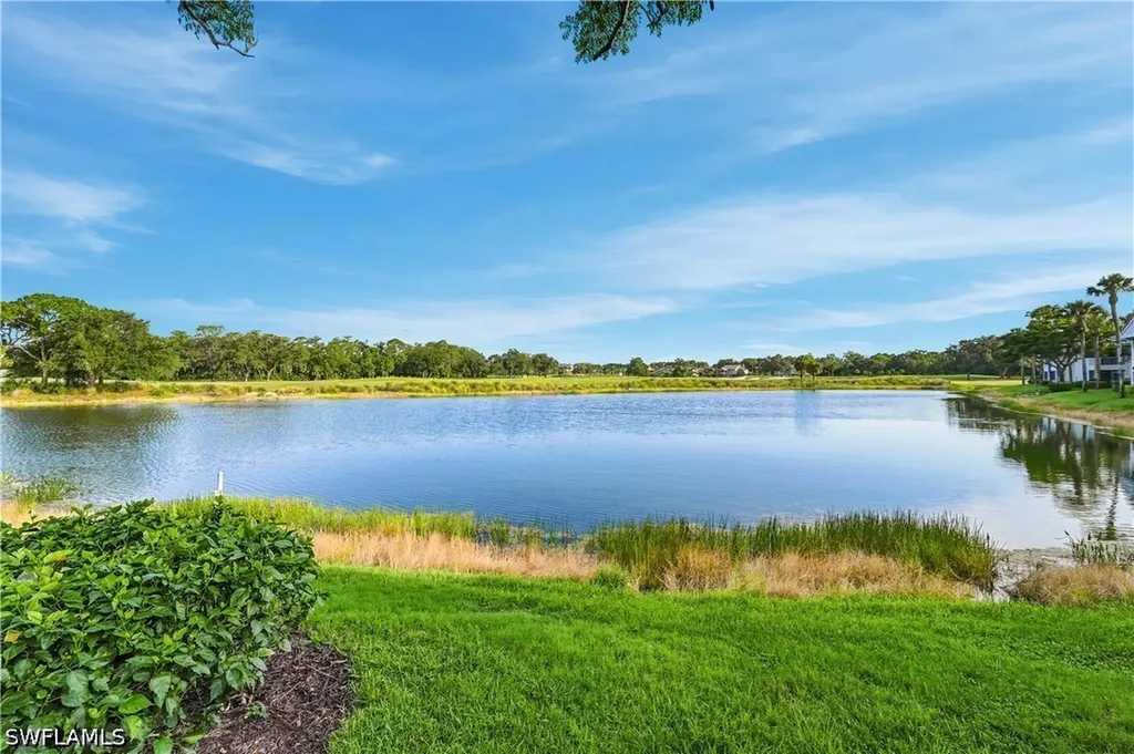 6260 Bellerive Avenue Naples FL 34119