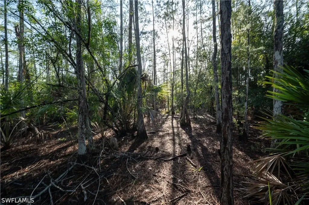 0 2nd Avenue NE Naples FL 34120