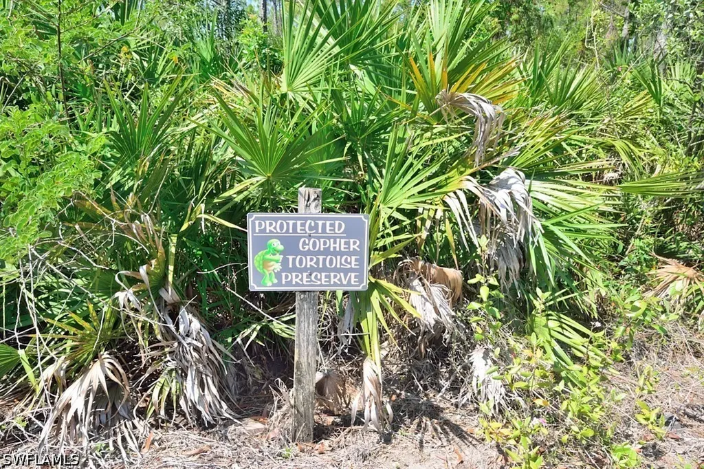 20111 Bravada Street Estero FL 33928