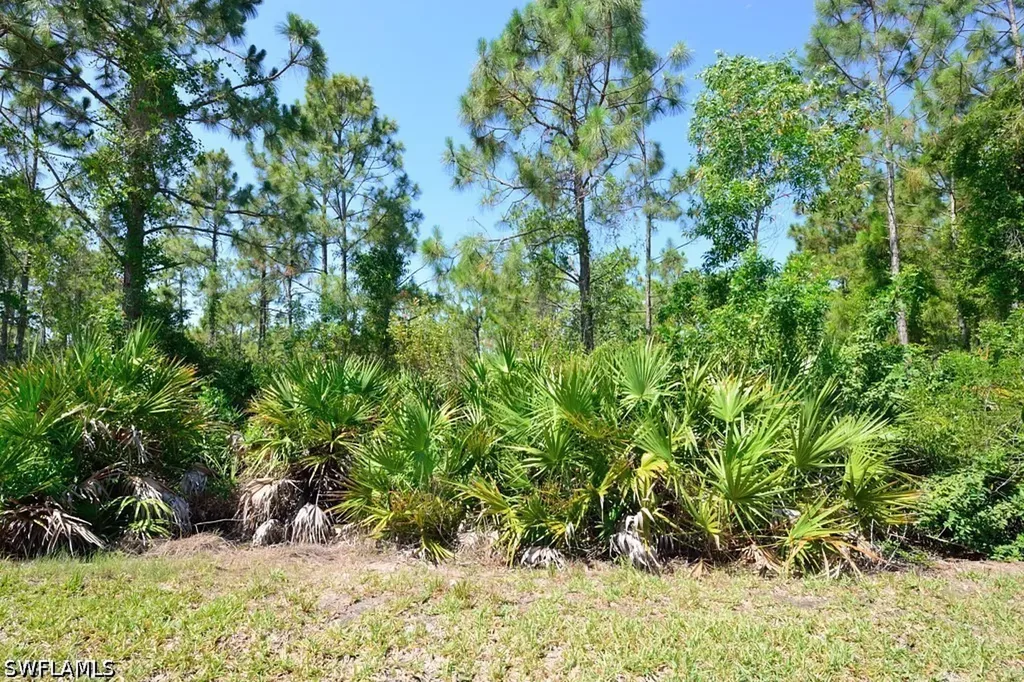 20111 Bravada Street Estero FL 33928