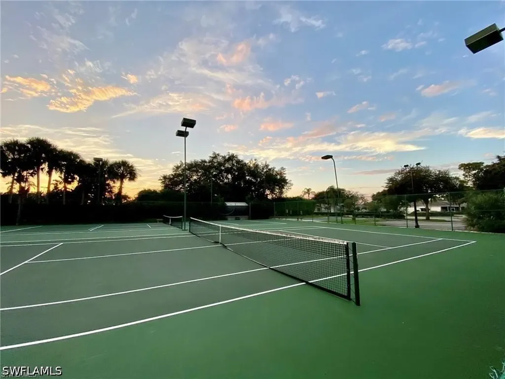 25735 Lake Amelia Way Bonita Springs FL 34135