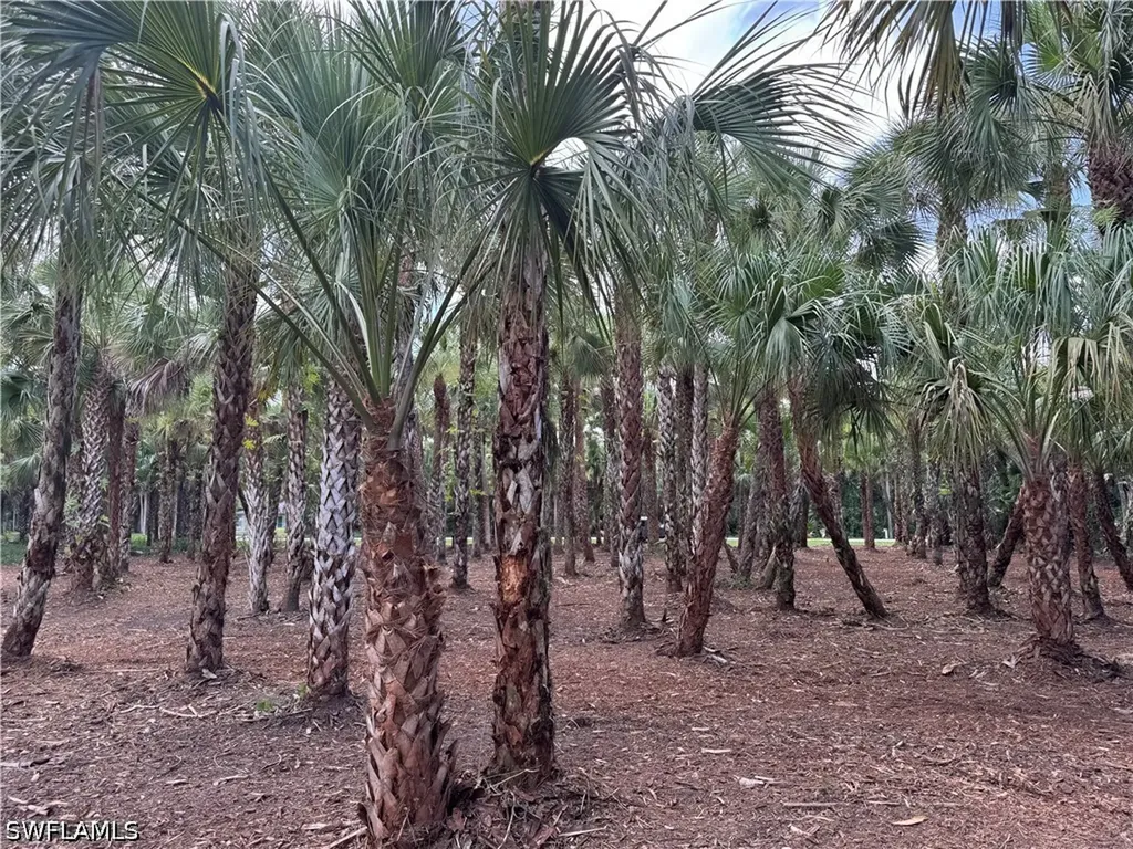 14TH Avenue NW Naples FL 34120