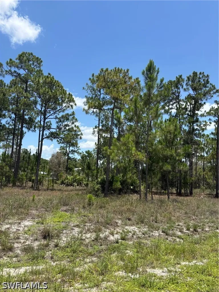 1112 Canton Avenue Lehigh Acres FL 33972