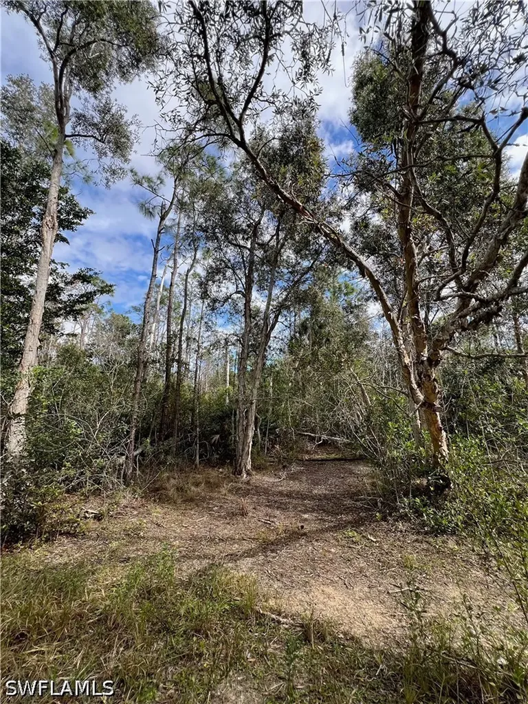24265 Rocky Road Bonita Springs FL 34135