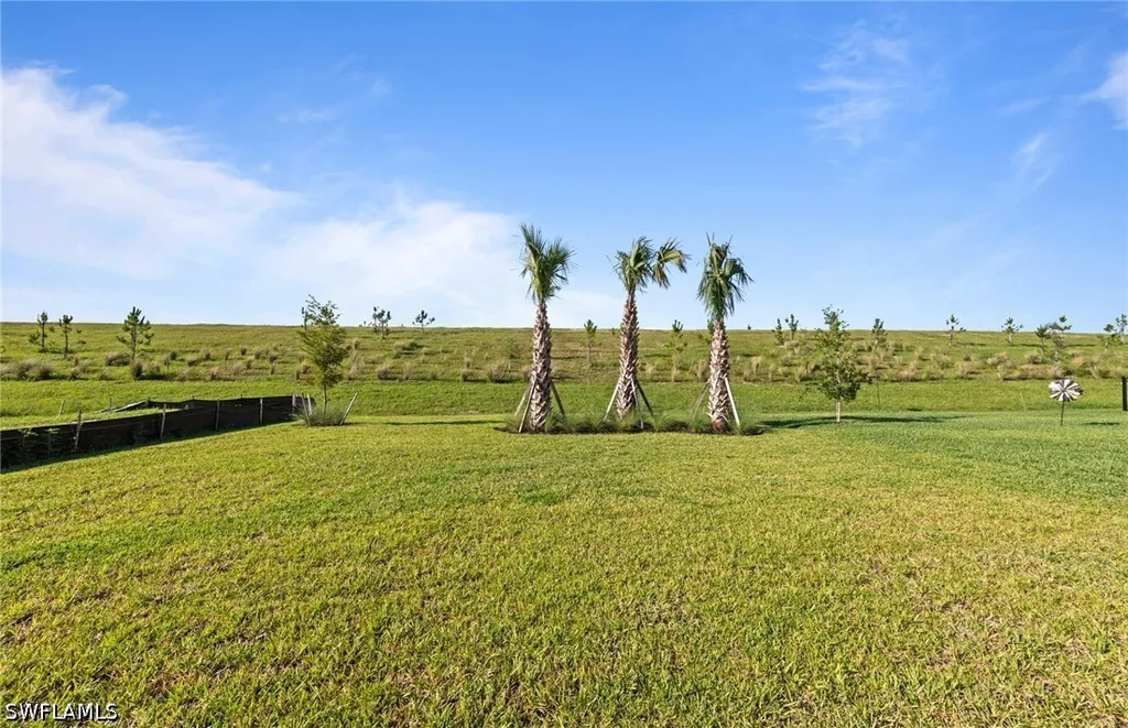 3849 Passion Vine Drive Alva FL 33920