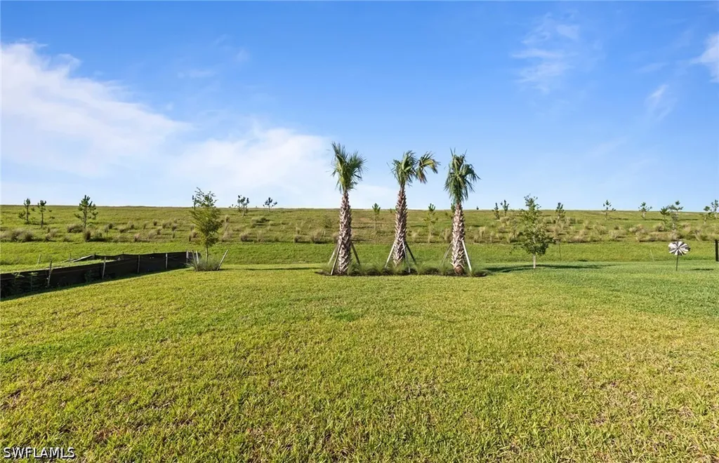 3849 Passion Vine Drive Alva FL 33920