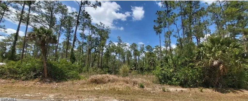 4045 12th Avenue SE Naples FL 34117