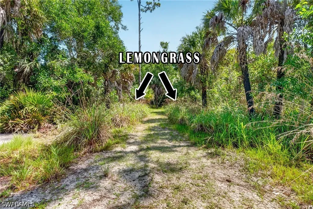 630 Pioneer Trail Naples FL 34117