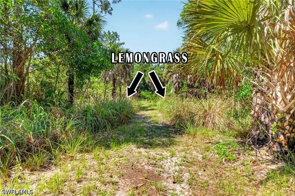 630 Pioneer Trail Naples FL 34117