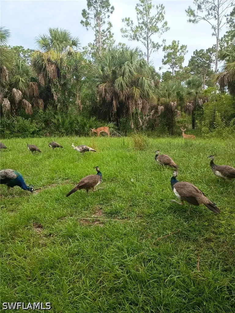 630 Pioneer Trail Naples FL 34117