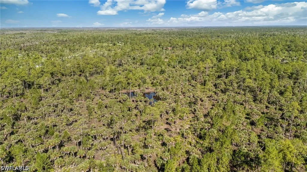 6010 Lee Williams Road Naples FL 34117