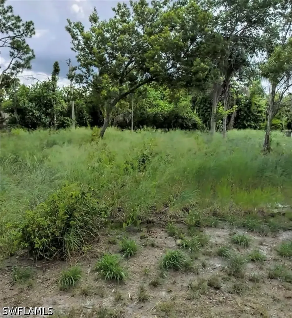 124 Lime Road NW Lake Placid FL 33852
