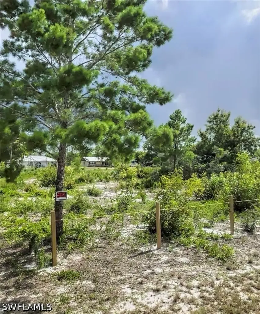 126 Loquat Road NW Lake Placid FL 33852