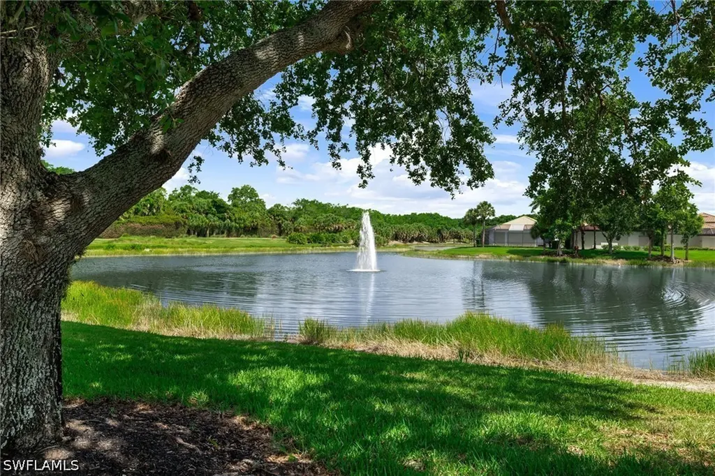 17819 Modena Road Miromar Lakes FL 33913