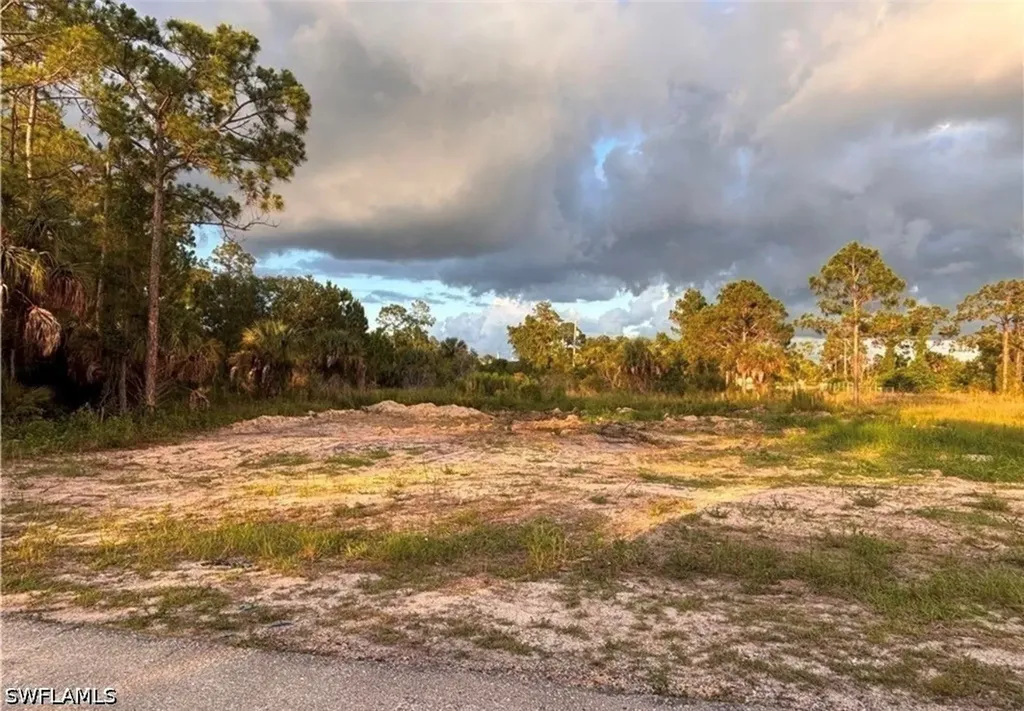2914 Elaine Avenue N Lehigh Acres FL 33971